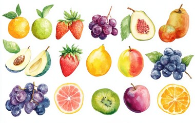 Watercolor Illustration of Fresh Fruits   Orange  Grape  Strawberry  Fig  Pear  Avocado  Lemon  Kiwi  Apple  Grapefruit