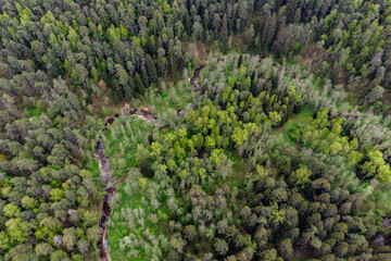 Flying over wild forest area with winding river