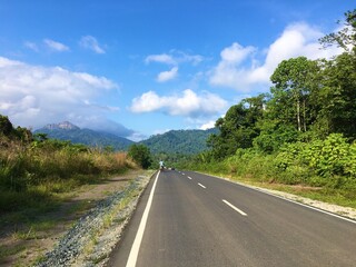 Tropical Forest Road View of Tanah Bumbu, Kalimantan, Indonesia