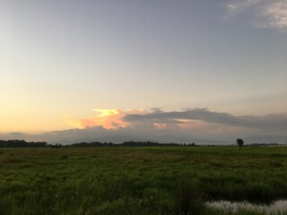 Obraz premium sunrise over the field