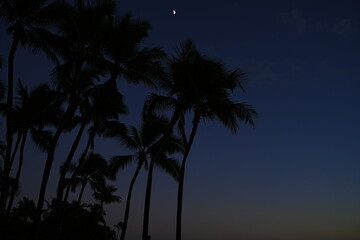 Naklejka premium Sunset View of Waikiki Beach in Honolulu, Hawaii, USA - アメリカ ハワイ ホノルル ワイキキビーチ 夕日