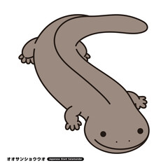 サンショウウオ イラスト