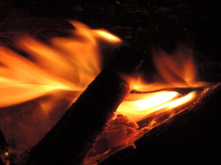 Fogata con madera en una noche fria © Chimuelo