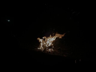 flame isolated in black