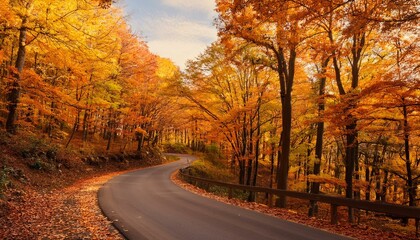 Autumn road through golden leaves