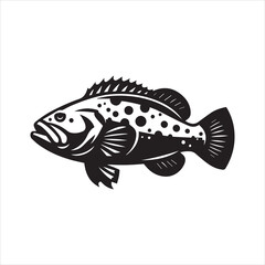Fototapeta premium Grouper Fish Vector illustration in black and white - Fish Clipart Design 