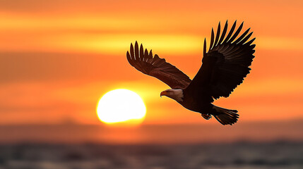 Obraz premium Majestic Eagle Soaring Through the Sunset Sky
