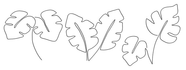 Simplicity monstera leaf freehand continuous line art hand drawn collection .Vector illustration
