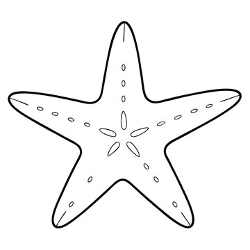 recommend clip art: Sea Star Line Art: A simple yet elegant line drawing of a starfish, perfect for kids' books, educational materials, or decorative projects.  