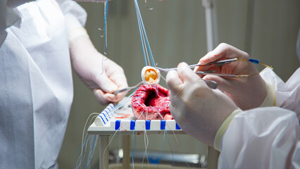 A team of surgeons are practicing artificial heart valve replacement surgery. Sutures are placed...