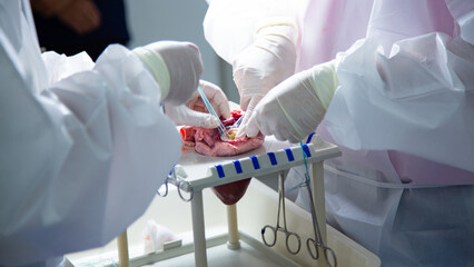 A team of surgeons are practicing artificial heart valve replacement surgery. Sutures are placed...