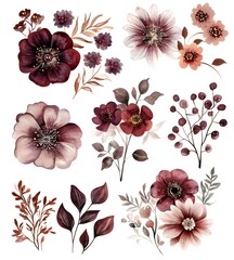 Watercolor dark burgundy flower arrangement, clip  isolated on a white background 