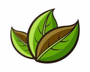 Tea leaf vector art on a white background