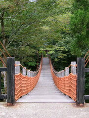 福井県池田町フォーシーズンの吊り橋