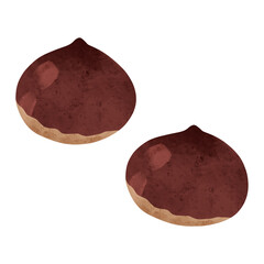 栗の実　水彩風手描きイラスト