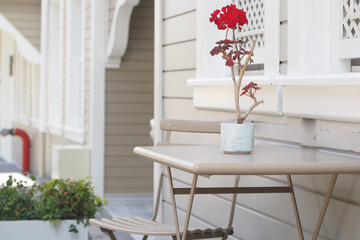 A Charming Outdoor Table Surrounded by Beautiful Red Flowers Next to a Vintage House