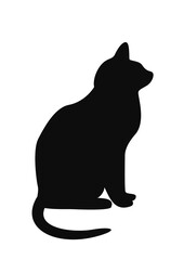 a black cat with a white background
