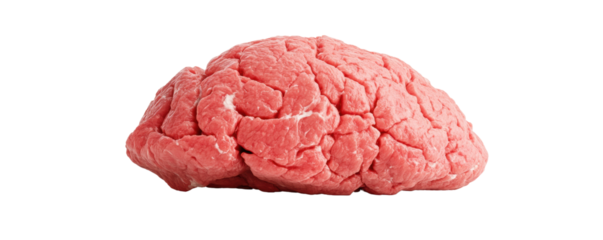 Realistic model of a brain on a white isolated background. transparent background.