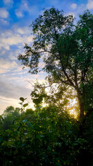 Beautiful sunrise with blue cloudy sky.