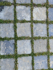 Dallage de jardin