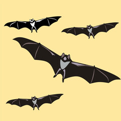Fototapeta premium bat for hallowen illustration