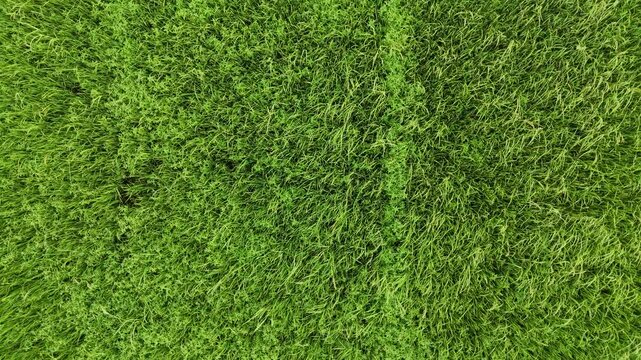 Aerial photography drone countryside agriculture and fores