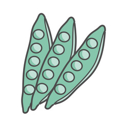 絹さや　イラスト