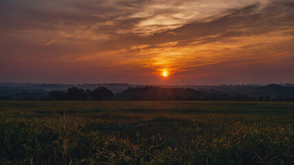Closeup view of a large reach of grassland with stunning dawn sky scenery with sunlight. Beautiful nature sunrise sky background for copy space.