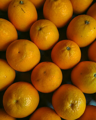 Fresh & Juicy Oranges – Nature’s Vitamin Boost!