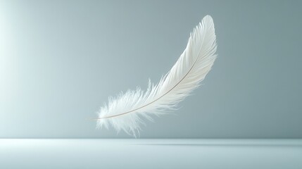 Elegant white feather floating against a soft background