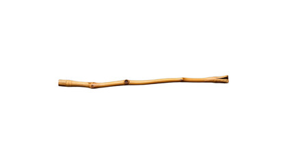 TRANSPARENT PNG ULTRA HD 8K Wooden Stick – Natural Branch, Leafy, Twisted, Smooth Stick with Knots and Variations, Ideal for Design or Decoration