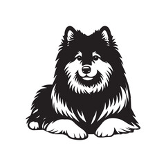 Keeshond Dog Clipart Design - Keeshond Vector illustration in black and white