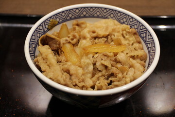 Japanese cuisine: gyudon (beef bowl) in Tokyo, Japan