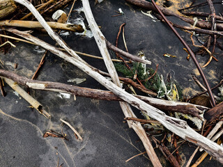 large pile consisting of branches and twigs located on the beach