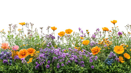 Fototapeta premium background made of colorful flowers isolated on white background