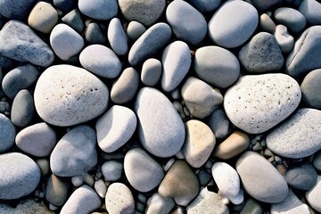 conglomerate boulders rounded pebbles and cobbles cemented toget