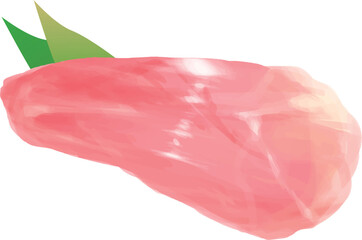 リアル系の鶏肉イラスト