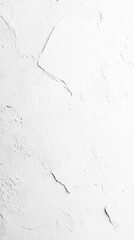Obraz premium Subtle White Background for Quotes, Vertical