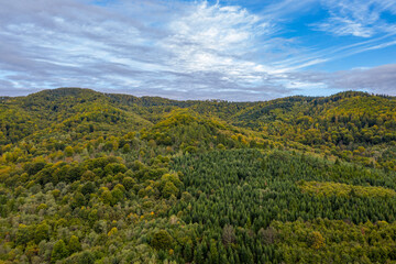 Obraz premium Małopolska, Poland, Góry Leluchowskie,