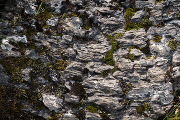 Natural structures and shapes from Iceland. Beautiful natural scenery for the background. Rock texture. Pattern, geometry, geology, light reflections. Structure of rocks inside a cave.