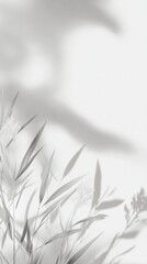 Soft White Minimalist Text Space