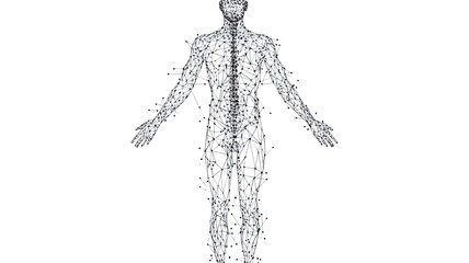 Obraz premium Low-Poly Human Body Outline with Polygonal Lines and Dots Concept for Science and Medicine, Minimalist Vector Illustration