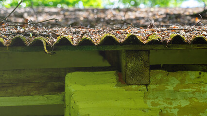 A roof with moss growing on it. The roof is green and has a brownish tint