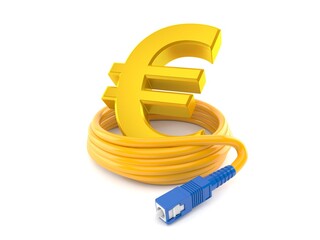 Euro currency with optic cable