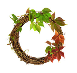 Dry brown rattan wreath with autumn branch of wild grapes isolated on white or transparent background