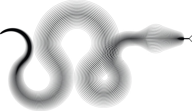 Chinese new year 2025 zodiac snake symbol .design elements . Year of the snake .World snake day logo. Line art . Vector illustration