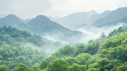 Fototapeta premium Misty forest mountains with a soft layer of fog and gentle snowfall, creating a peaceful and serene nature scene.