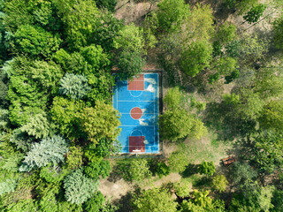 a basketball court in the forest