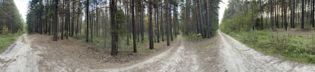 Autumn forest landscape cloudy day HDRI