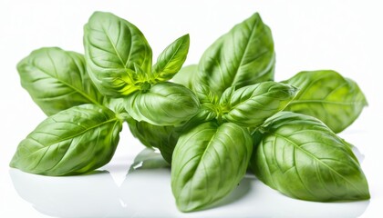 Obraz premium Fresh basil leaves ready to add flavor to your dishes